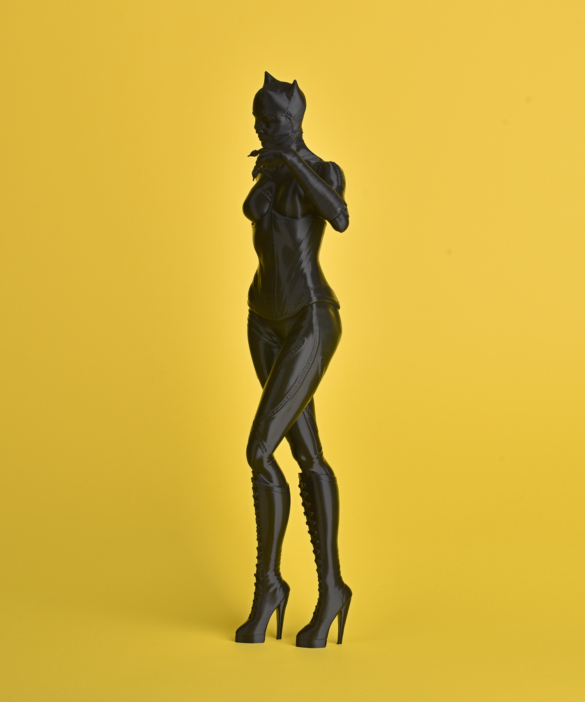 Cat Women - The Batman