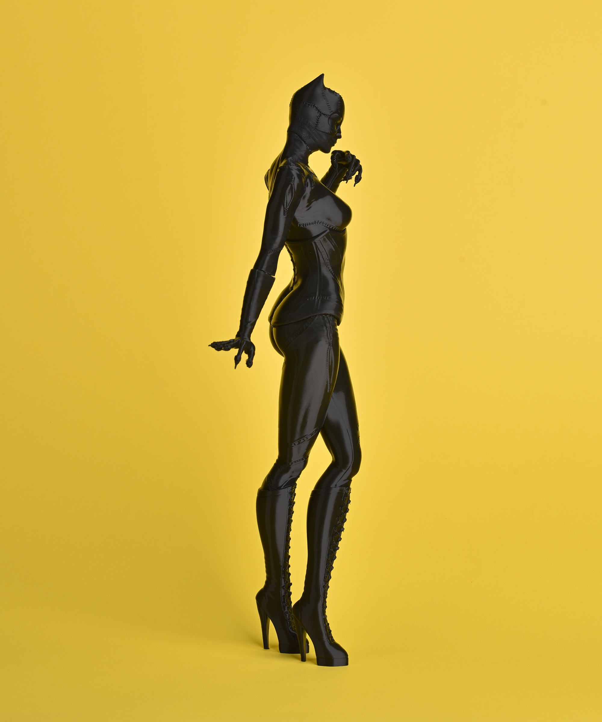 Cat Women - The Batman