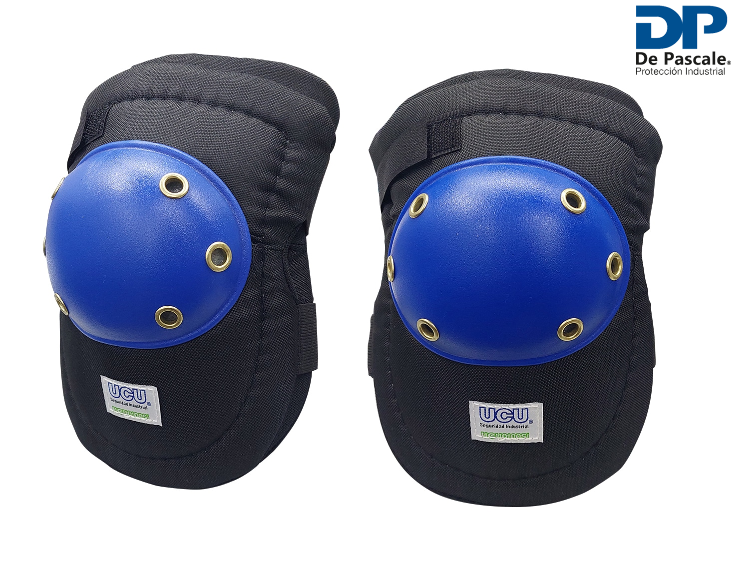 RODILLERA DE PROTECCION ECONÓMICA DE PASCALE