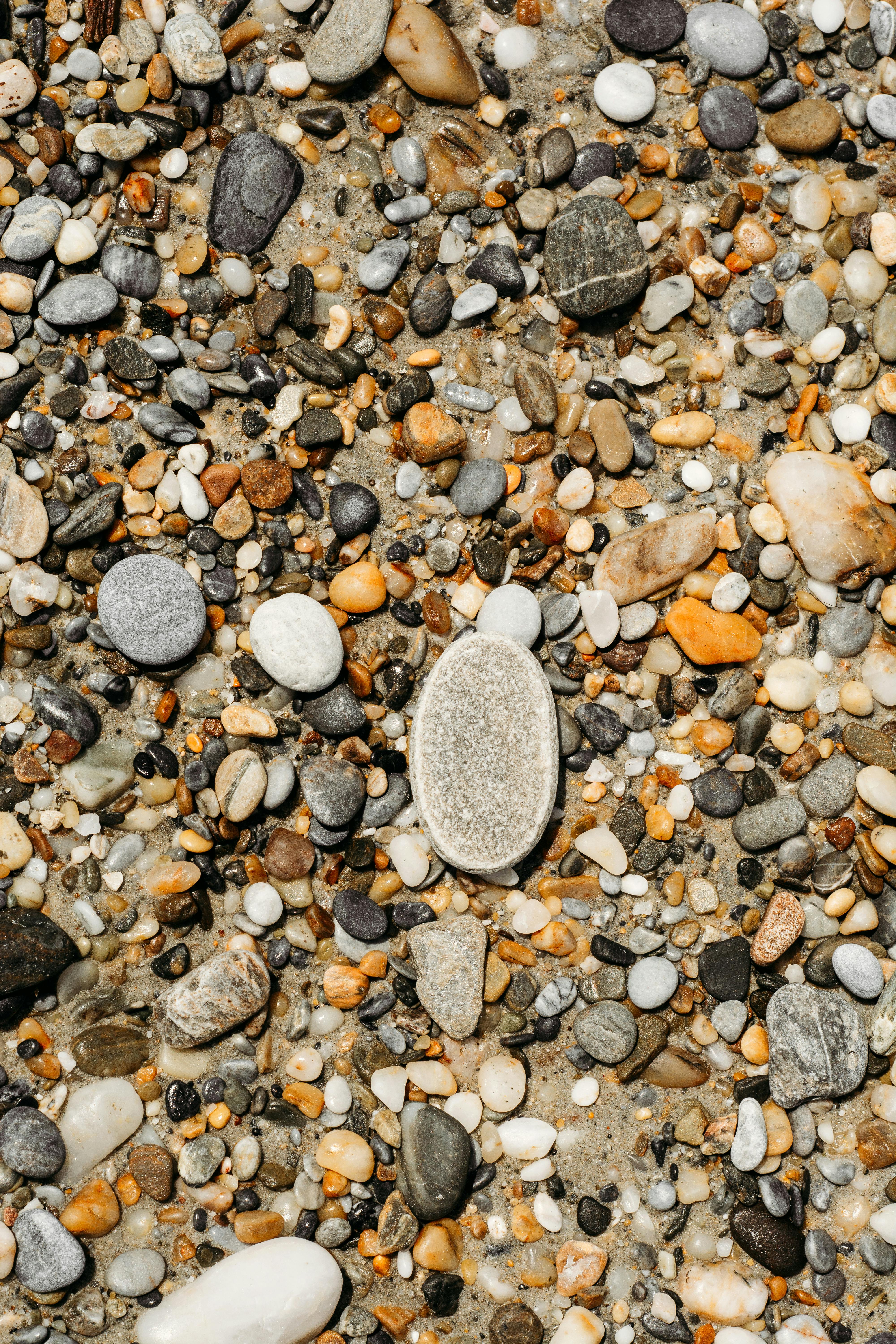 Séance Tarif Étudiant