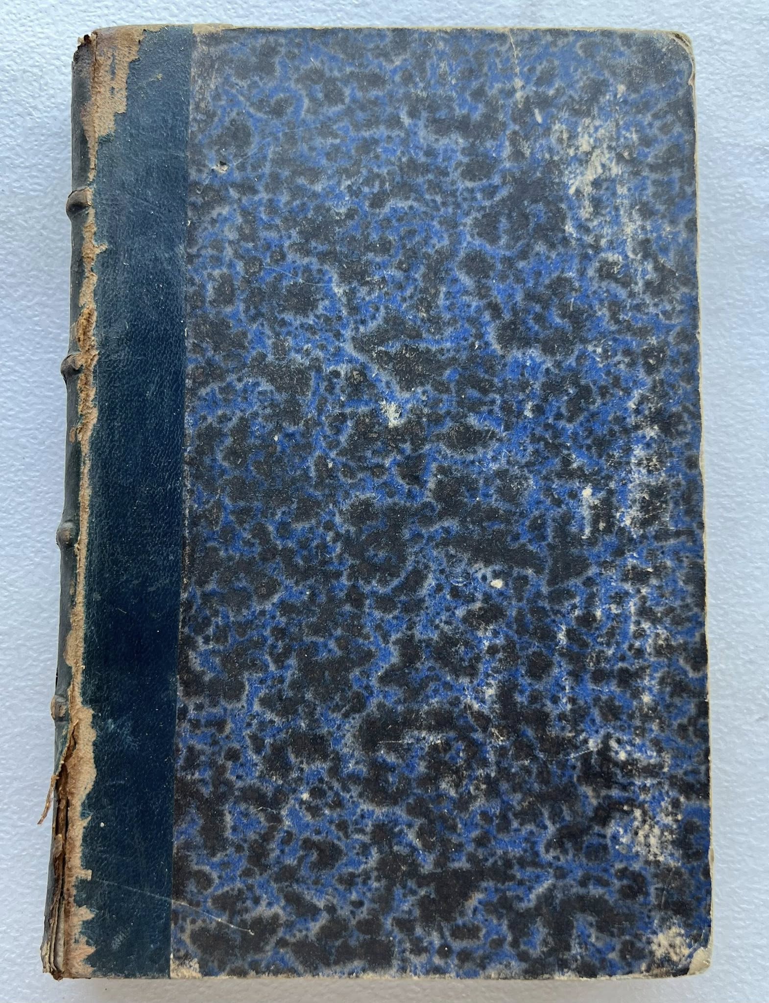 Hojas de un Album Puebla 1879 por Rafael B. de la Colina