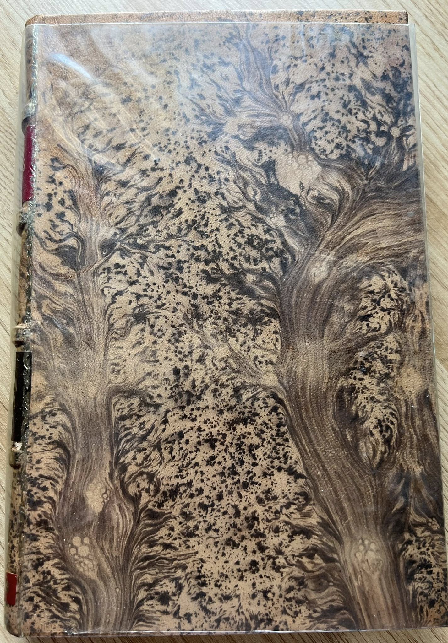 El Historiador Davis Robinson y su Aventura en Nueva España por Eduardo Enrique Rios