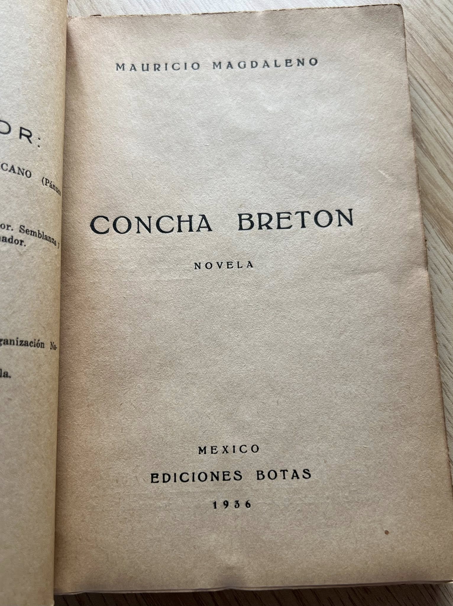 Concha Bretón por Mauricio Magdaleno