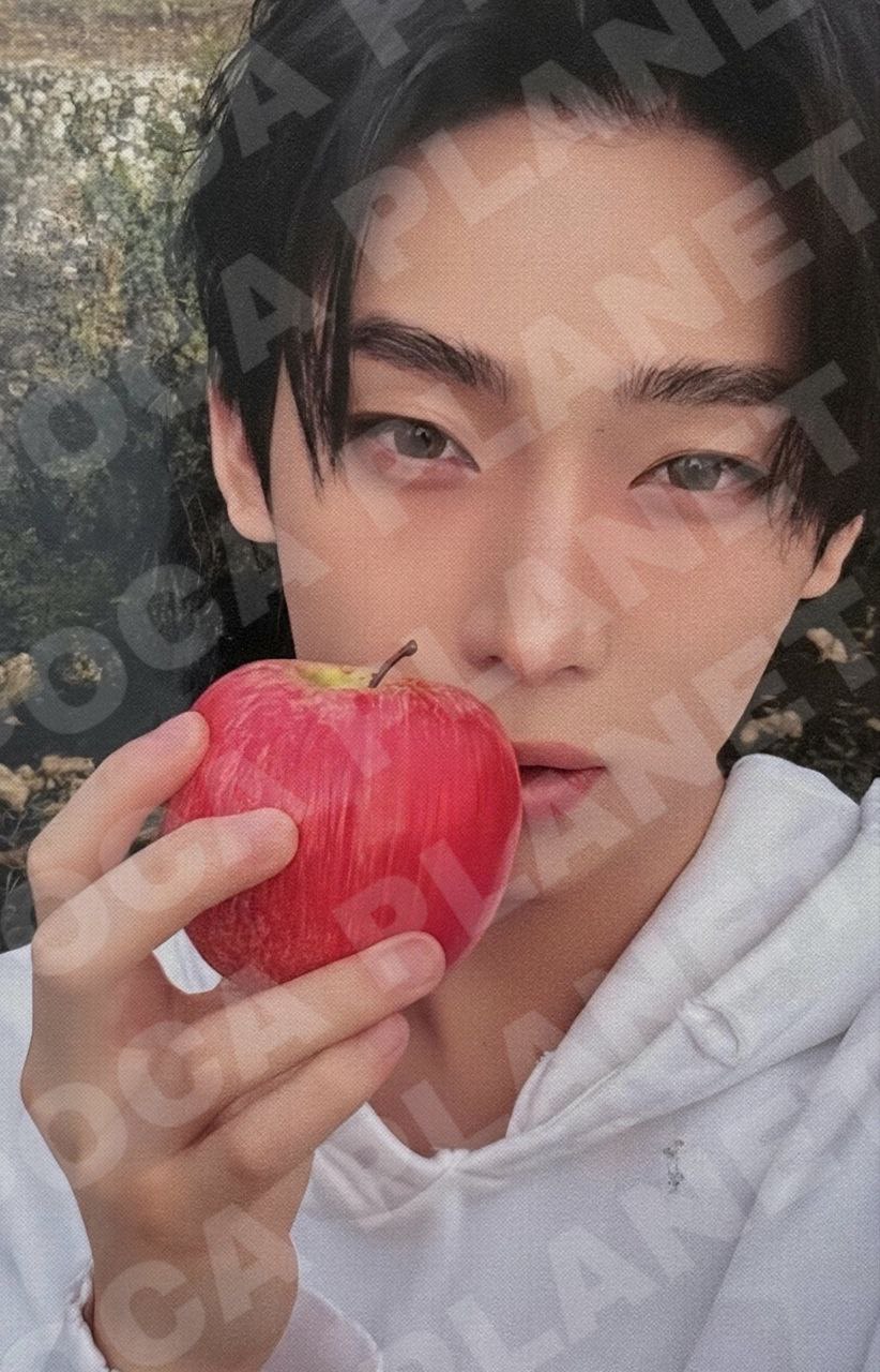 SIN:VANISH FUGITIVES VER