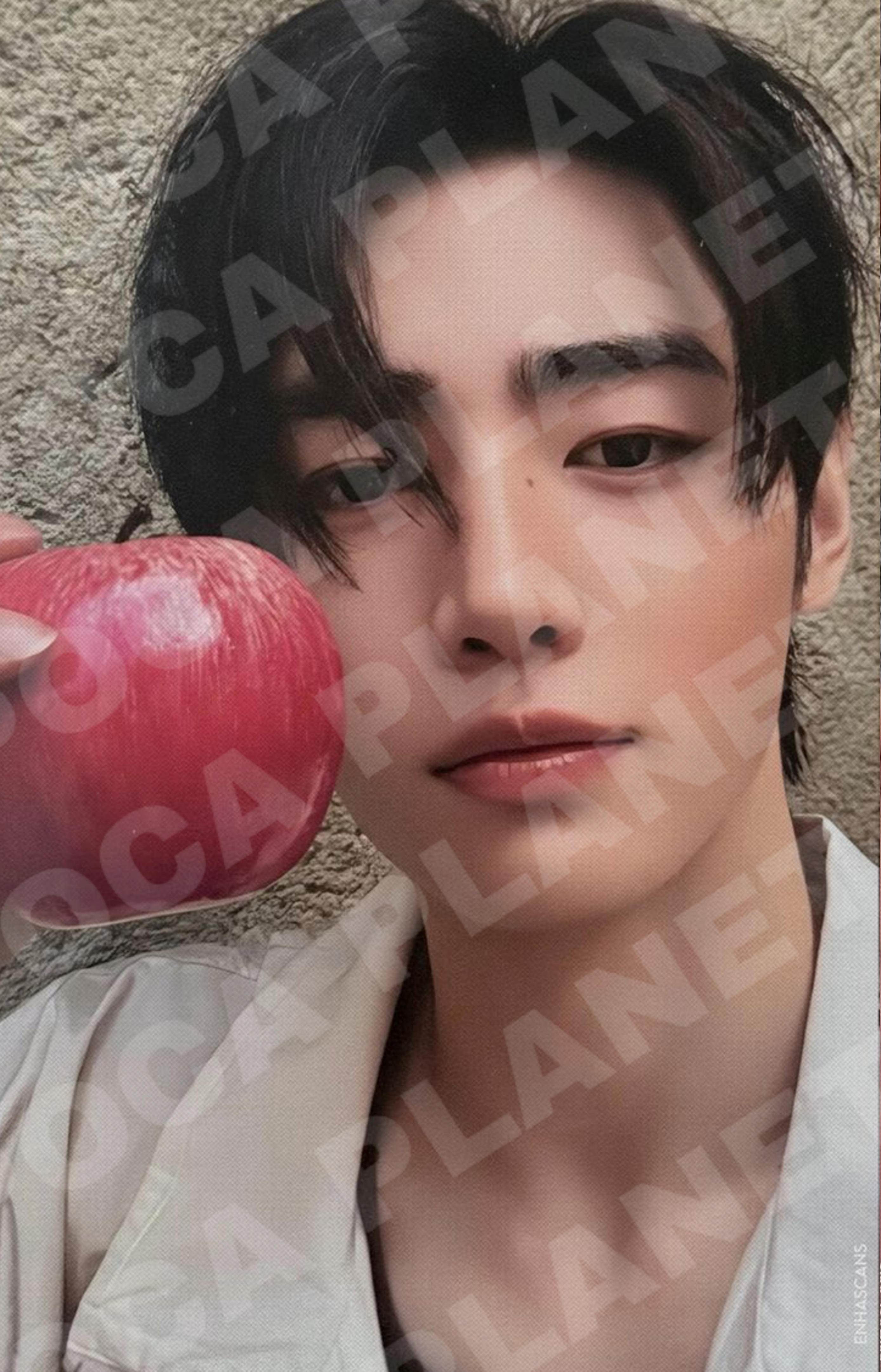 SIN:VANISH FUGITIVES VER