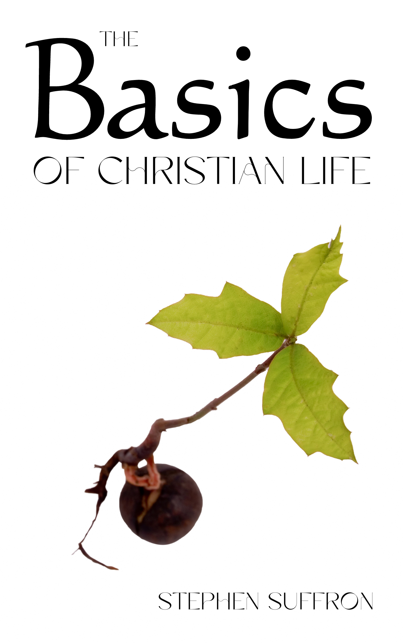 The Basics of Christian Life