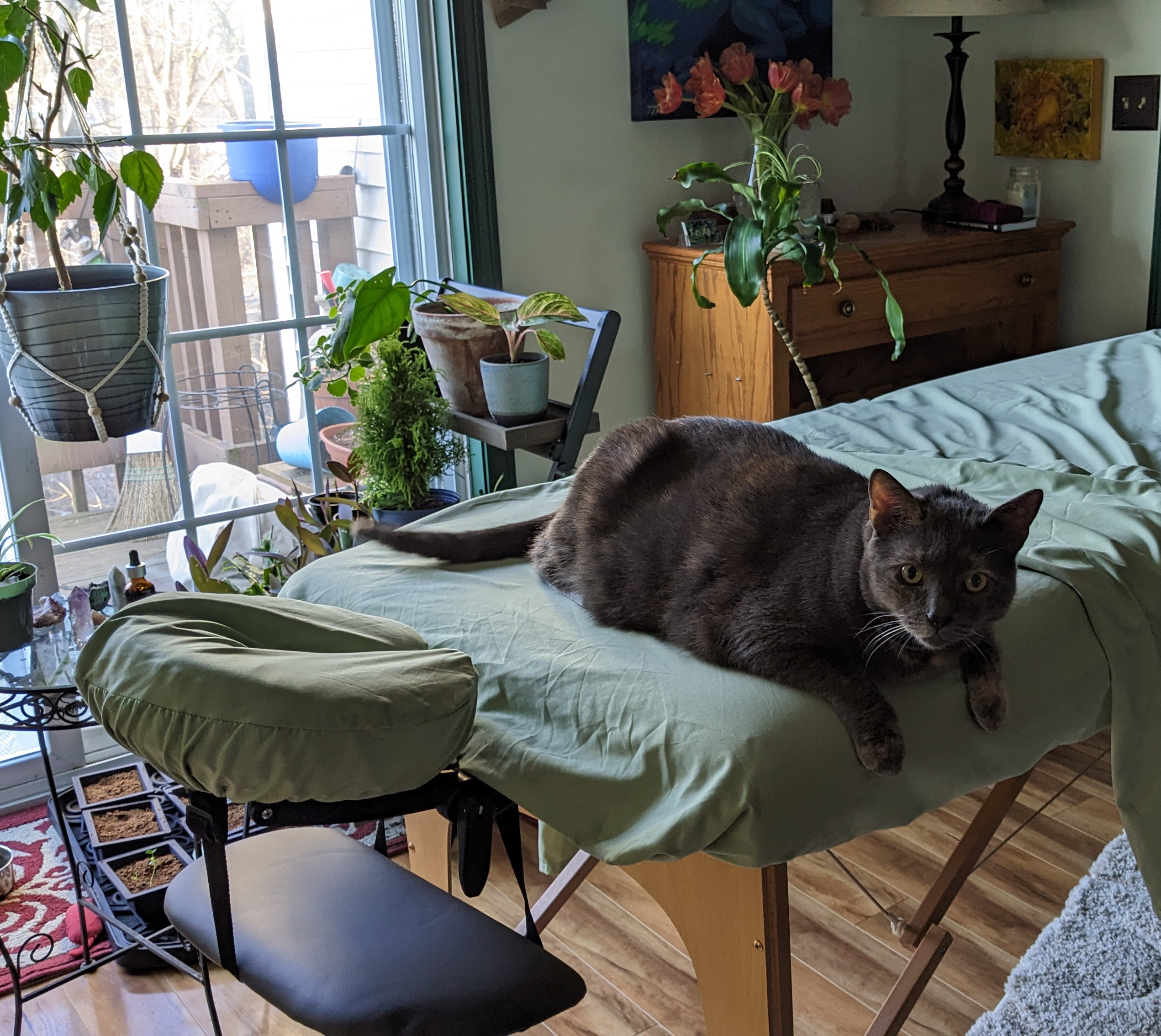 Reiki / Thai Yoga Massage Session