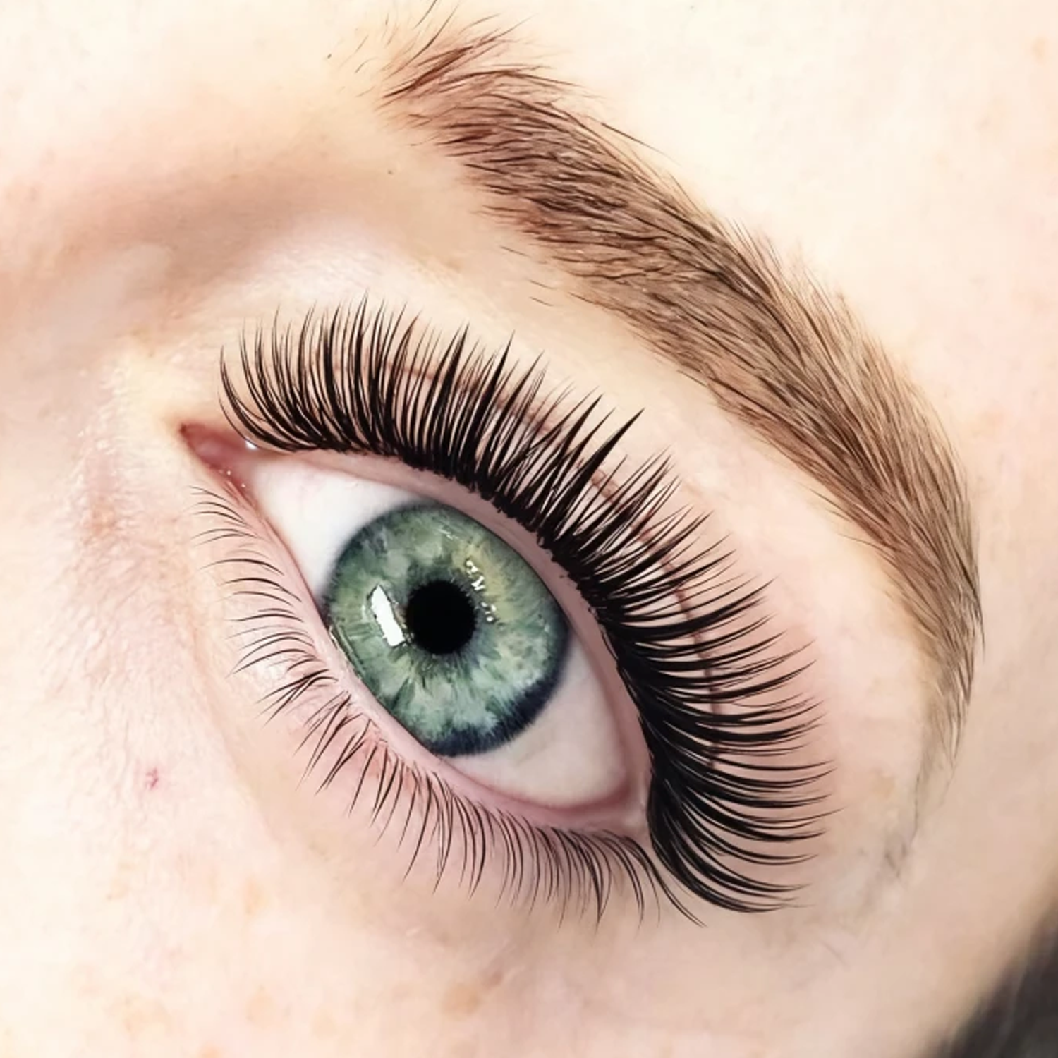 New Set - Hybrid Lash