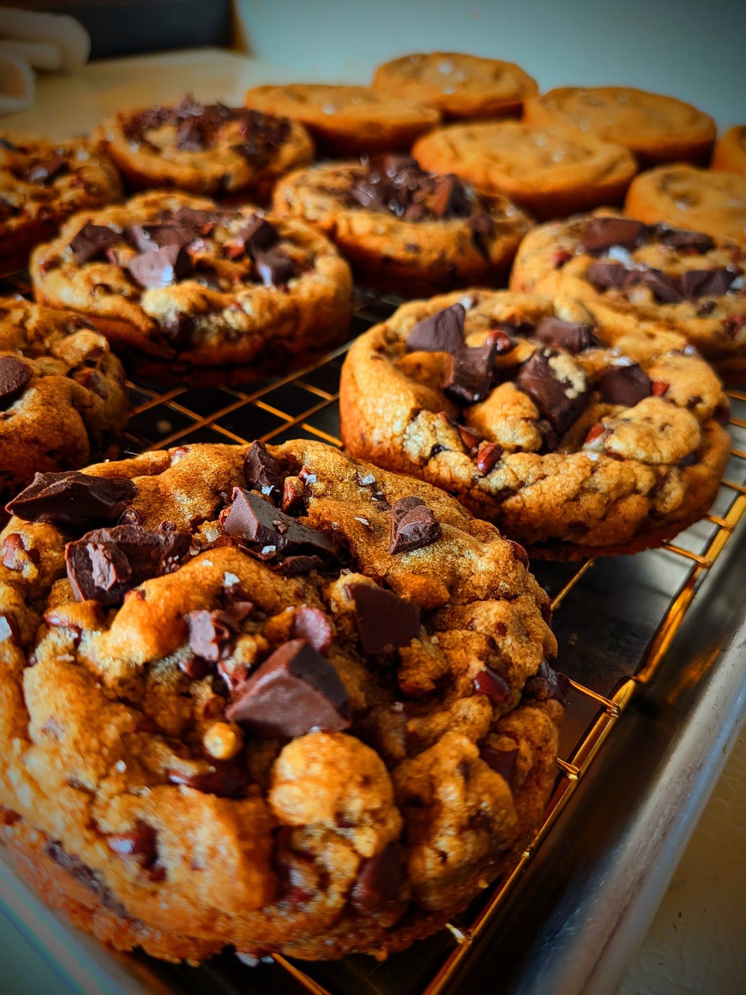 🍪 Feral Chocolate Chip
