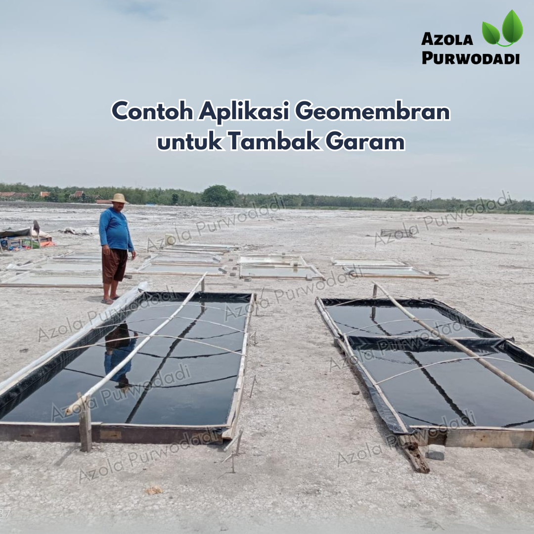 Plastik HDPE Geomembran 300 micron lebar 6 meter untuk kolam ikan / tambak / irigasi