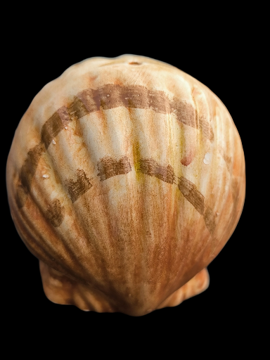 Saliera e pepiera in ceramica a forma di capasanta - Ceramic Shell Salt & Pepper Shakers