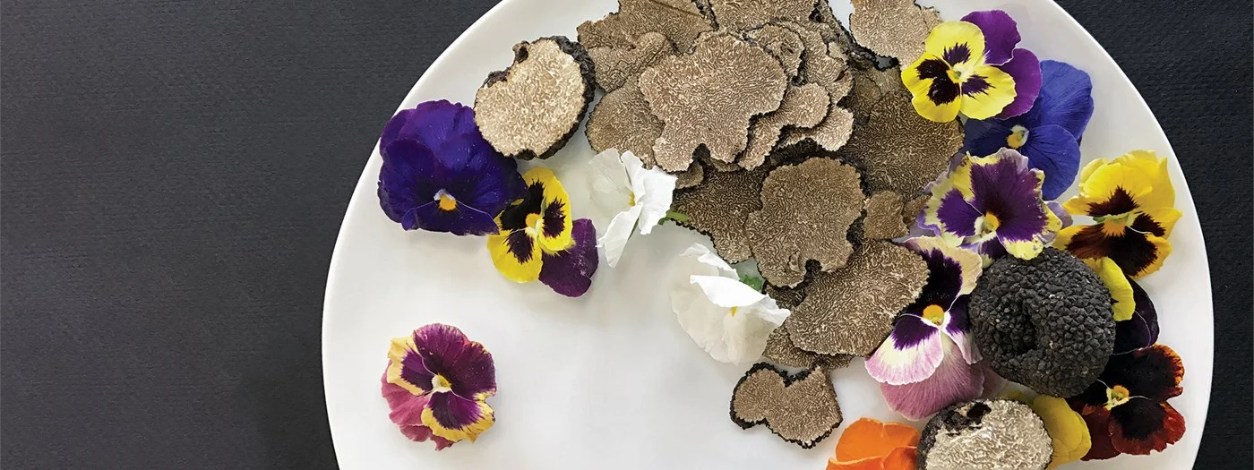 Fresh Truffle