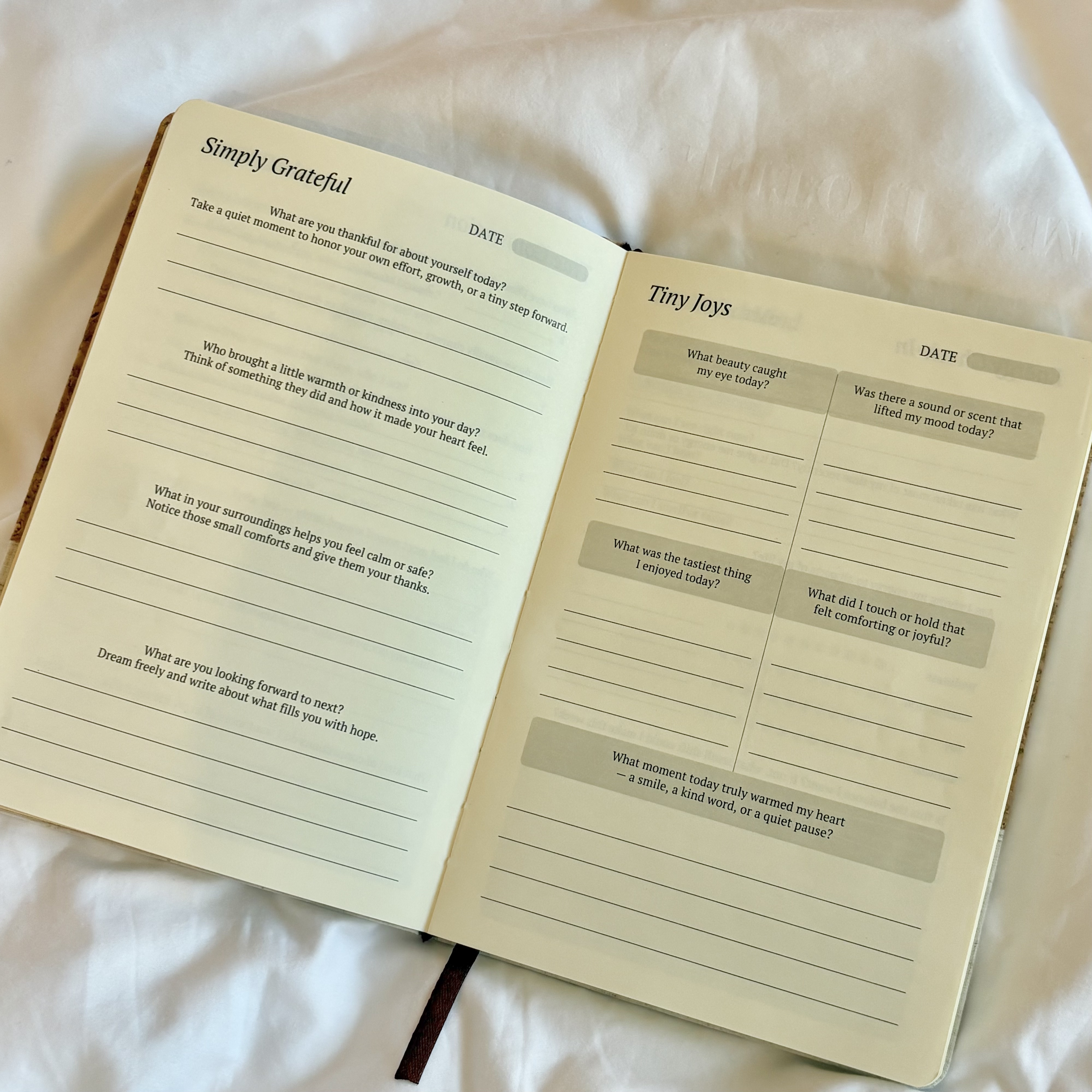 Here & Aware Guided Journal