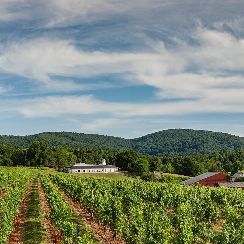 Eastside Wine Tour 7-14 Guests