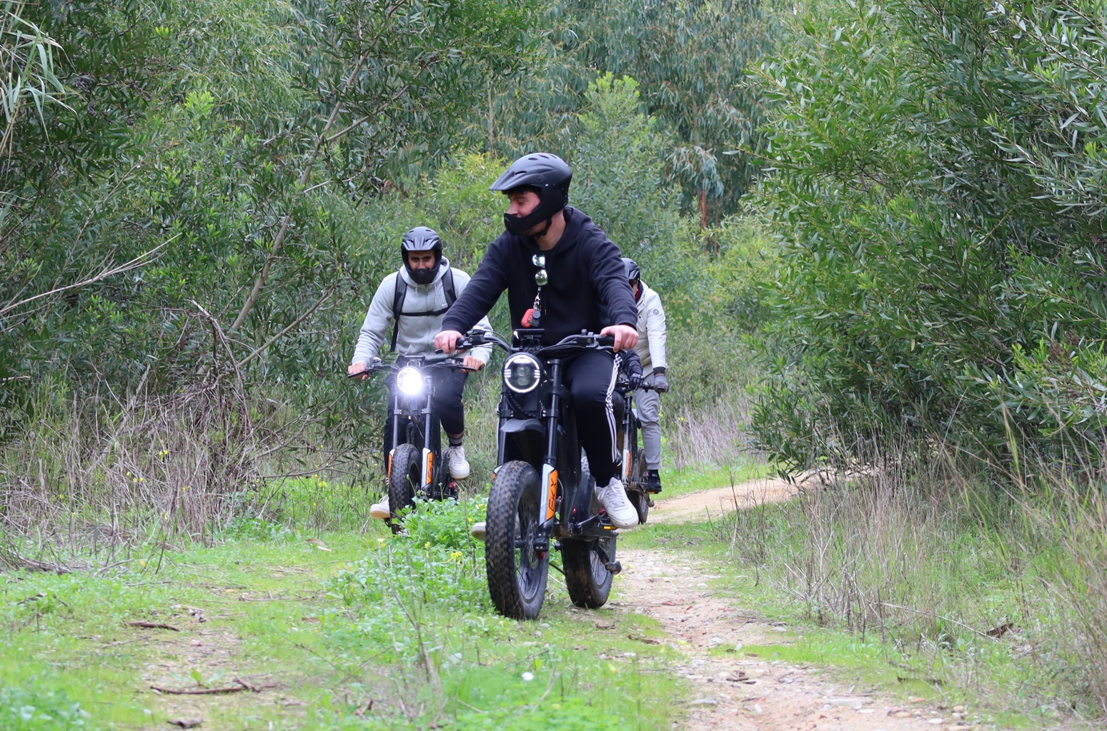 Into The Woods (Adventure)