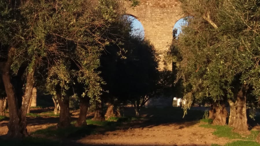 Tour through the Highlights of Évora City 