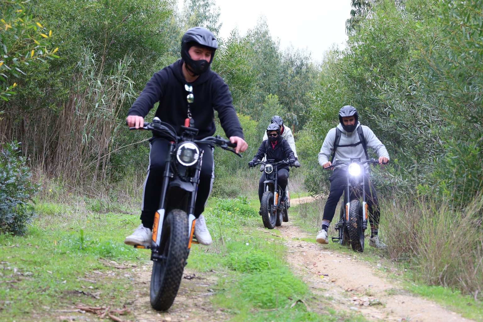 Into The Woods (Adventure)