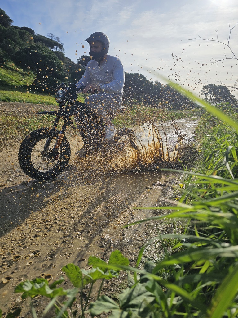 Into The Woods (Adventure)