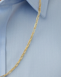 Sangal Gold Plated Chain for Casual use