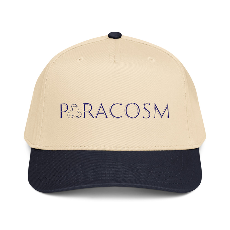 The Intro Two-Tone Panel Hat