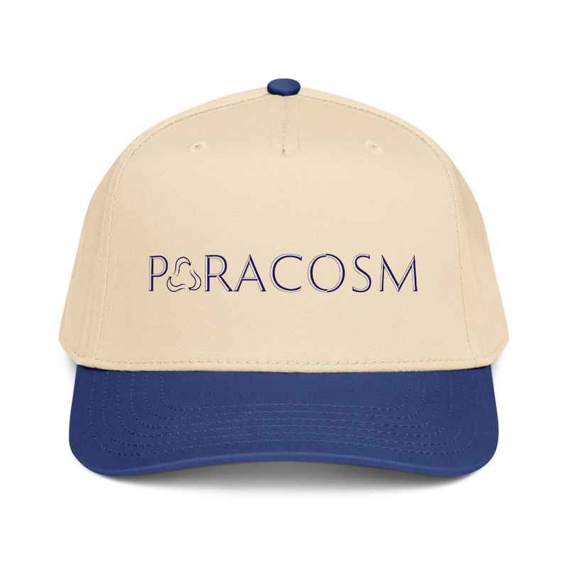 The Intro Two-Tone Panel Hat