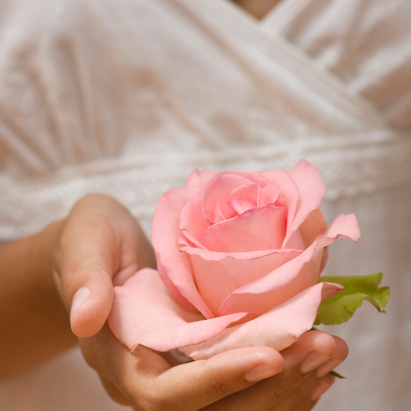 Sacred Birth Deep Dive Paket