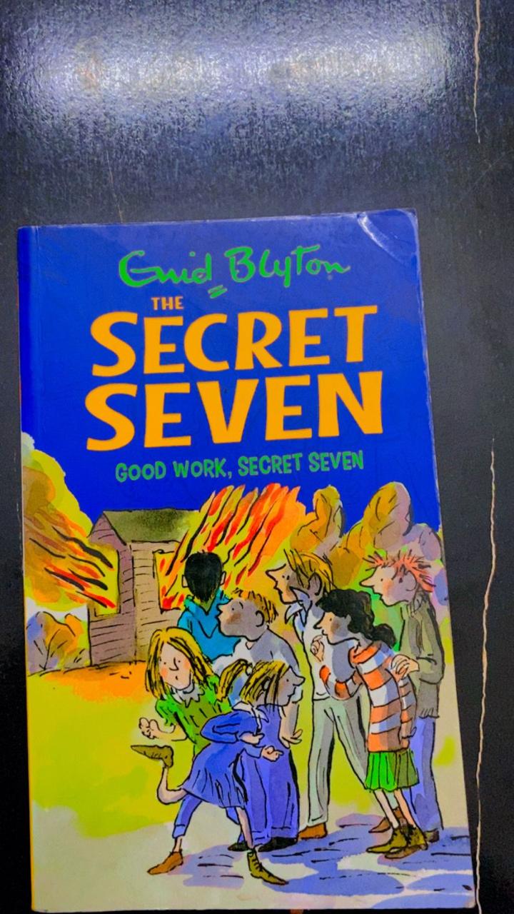 The Secret Seven: Good Work, Secret Seven