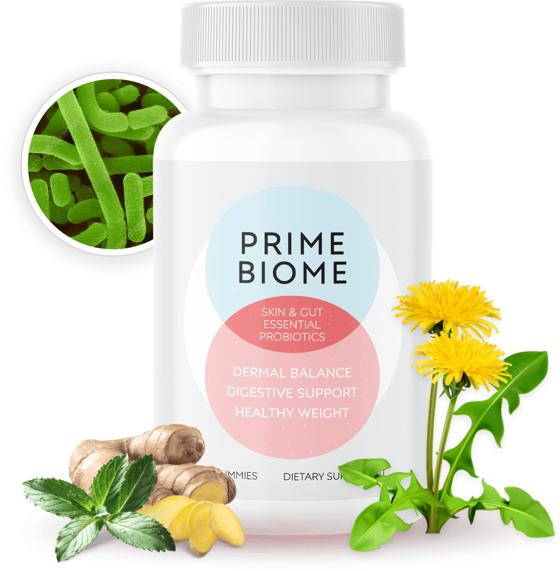 Prime Biome Probiotics