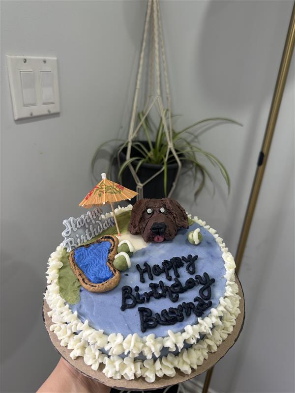 Fetch & Frost Custom Dog Cakes