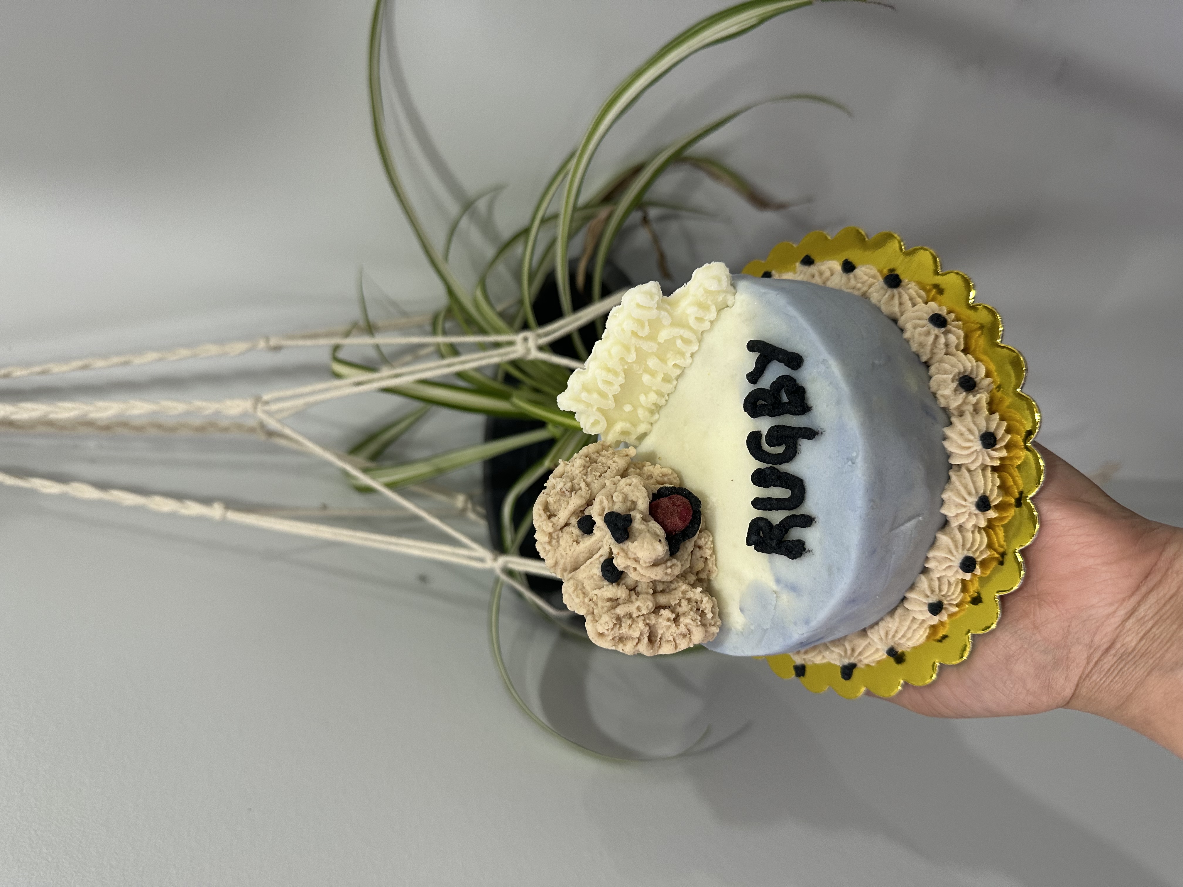 Fetch & Frost Custom Dog Cakes