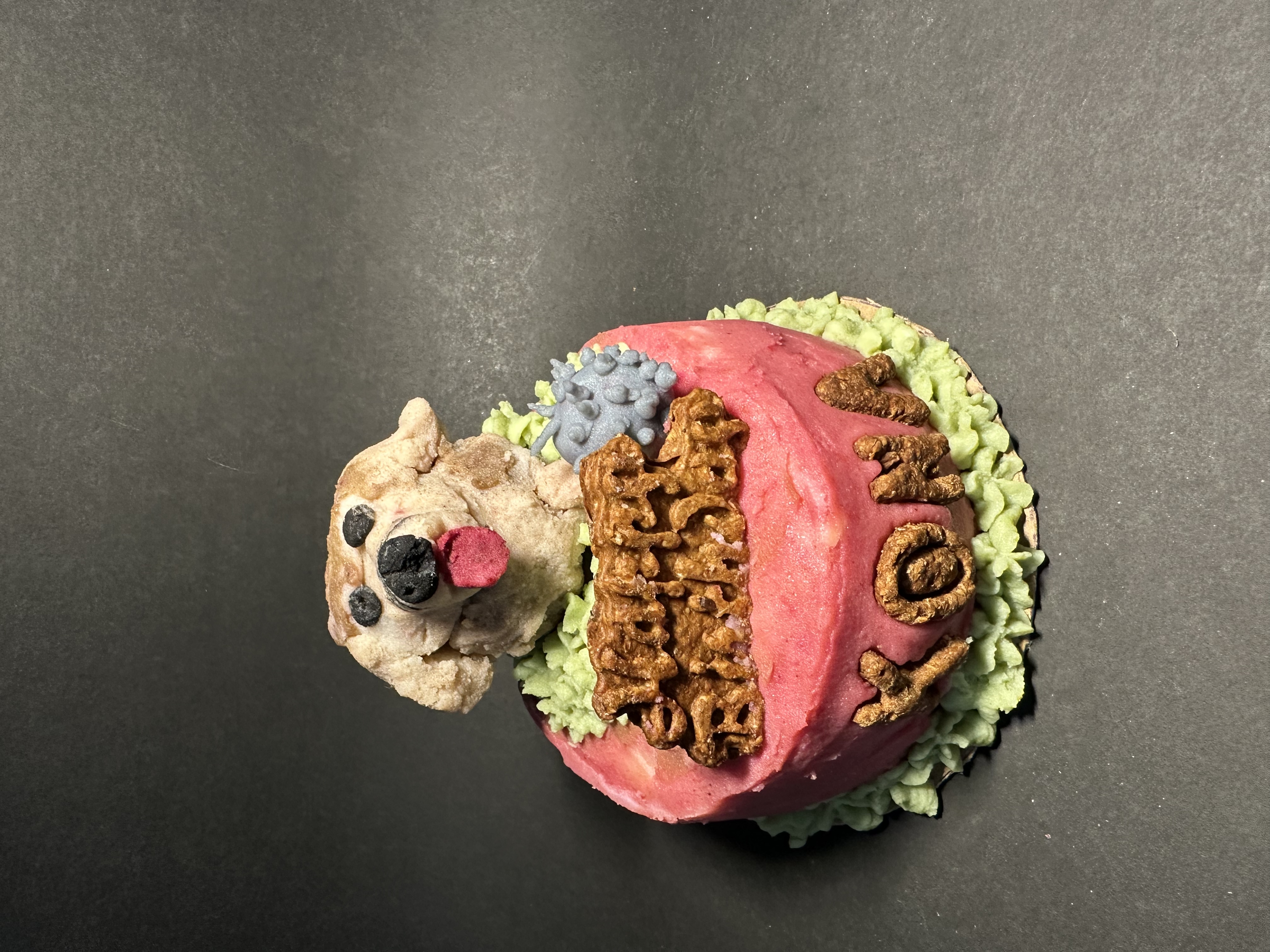 Fetch & Frost Custom Dog Cakes