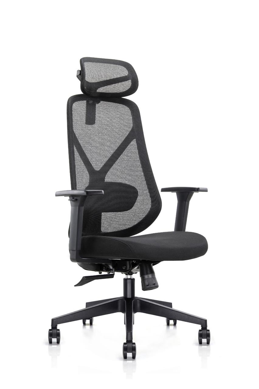 Ergonomic Mesh Office Chair