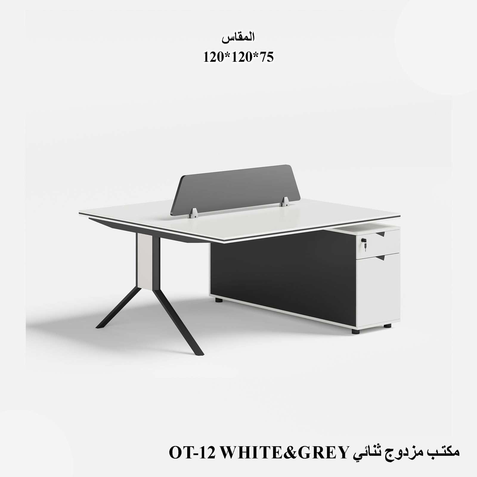 OT-12 White & Grey Office Desk