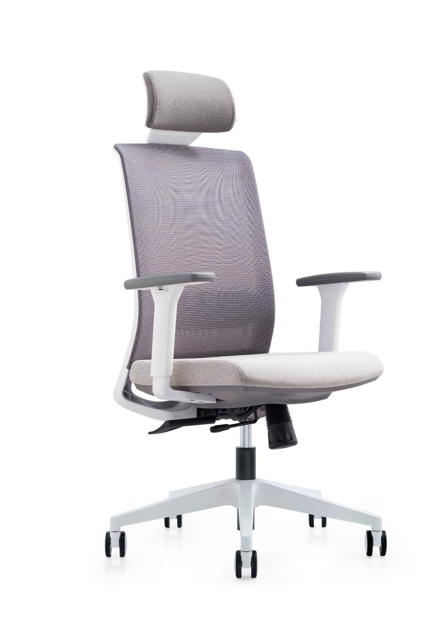 Ergonomic Mesh Office Chair