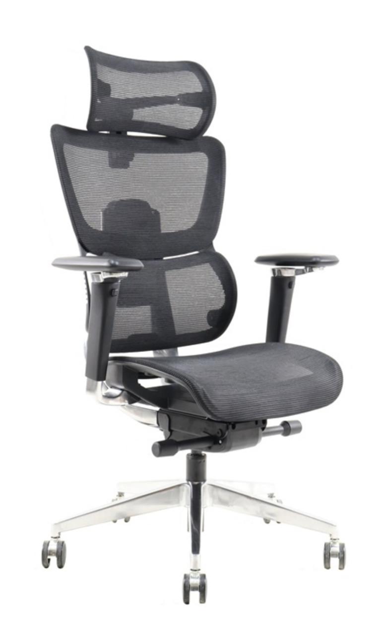 Ergonomic Mesh Office Chair