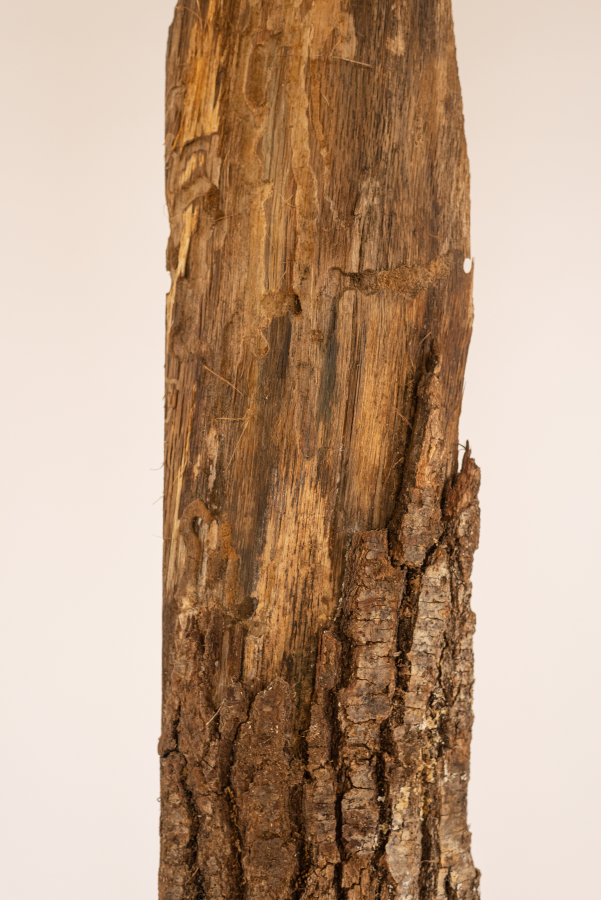 Lampe "aŭbier-kverko N3 "