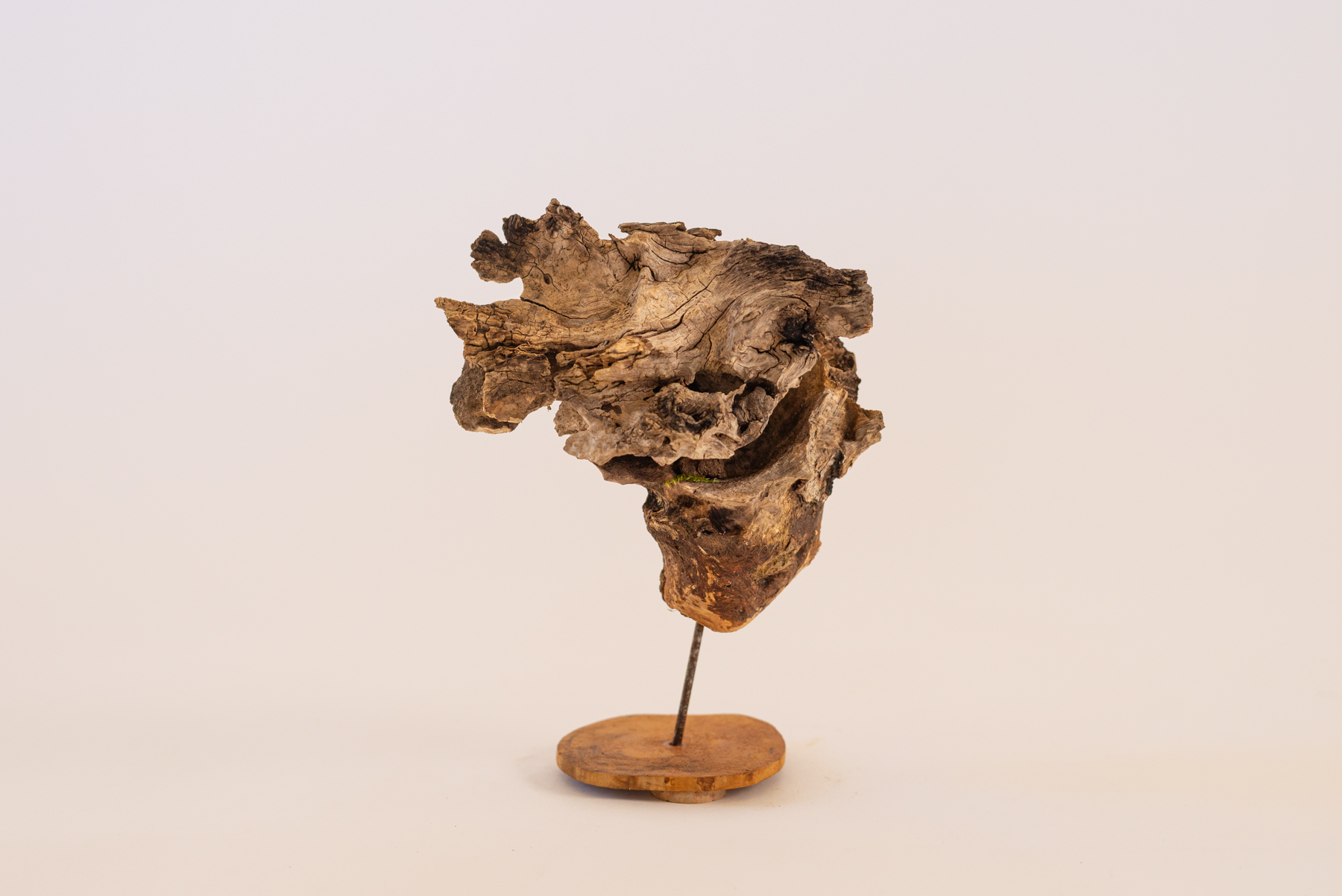 Sculpture "Eta stumpo N2"