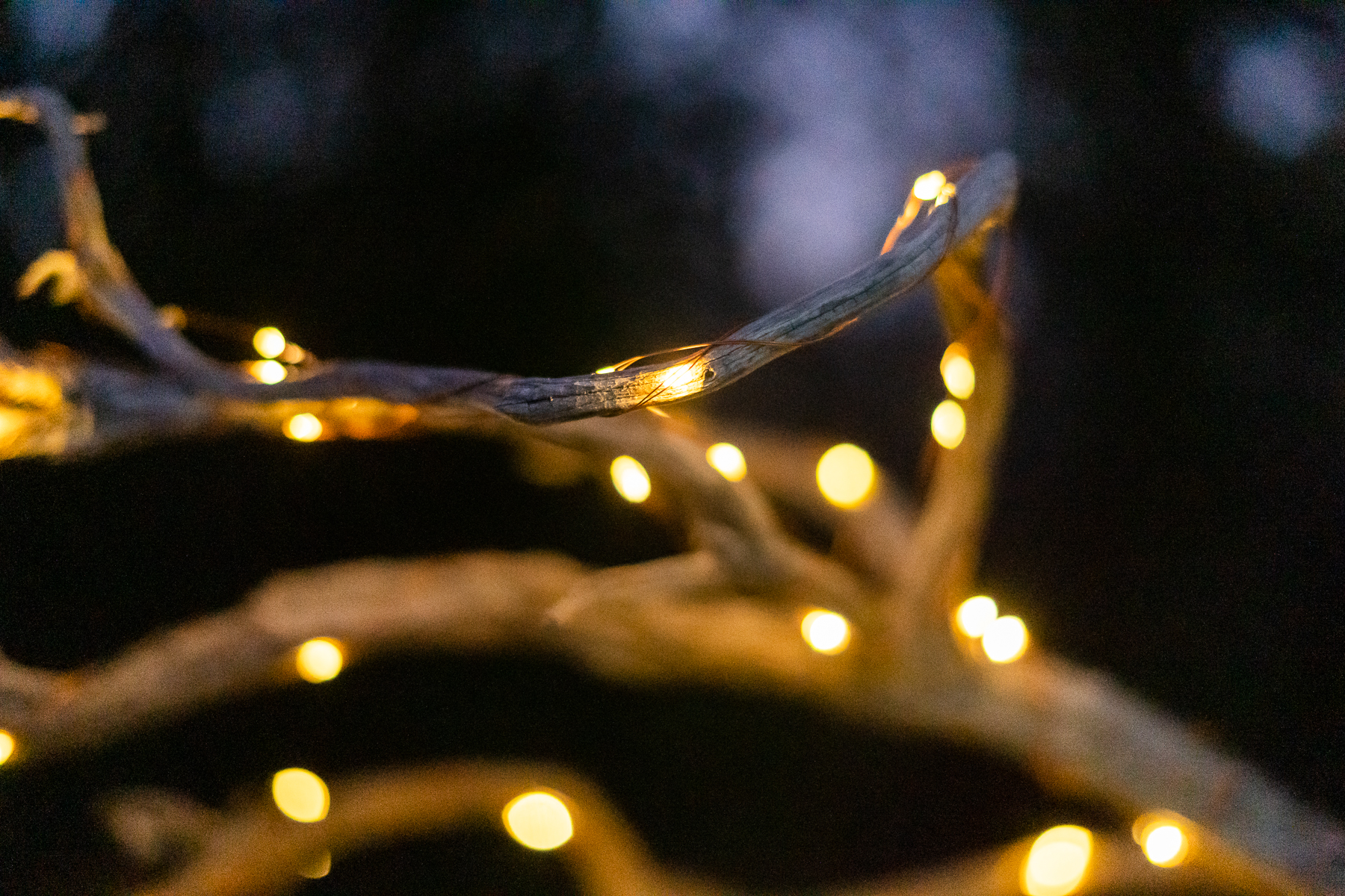 Lampe de Jardin "Arbro punktoj"