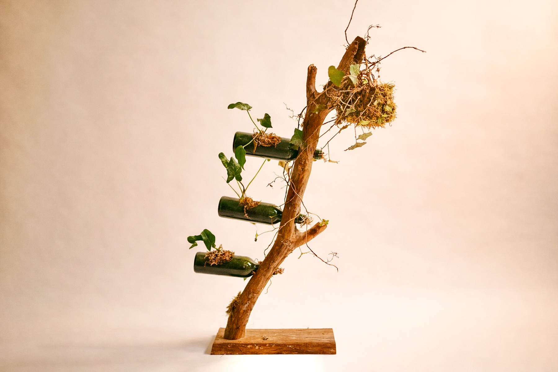 Jardinière "Branĉa botelo"