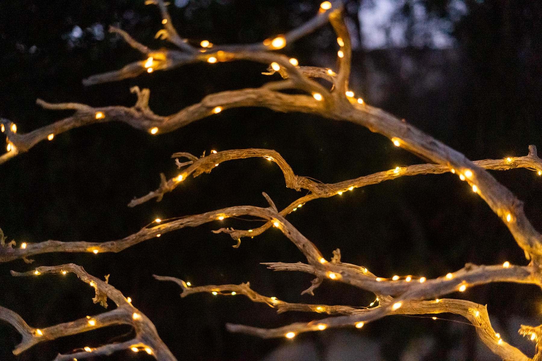 Lampe de Jardin "Arbro punktoj"