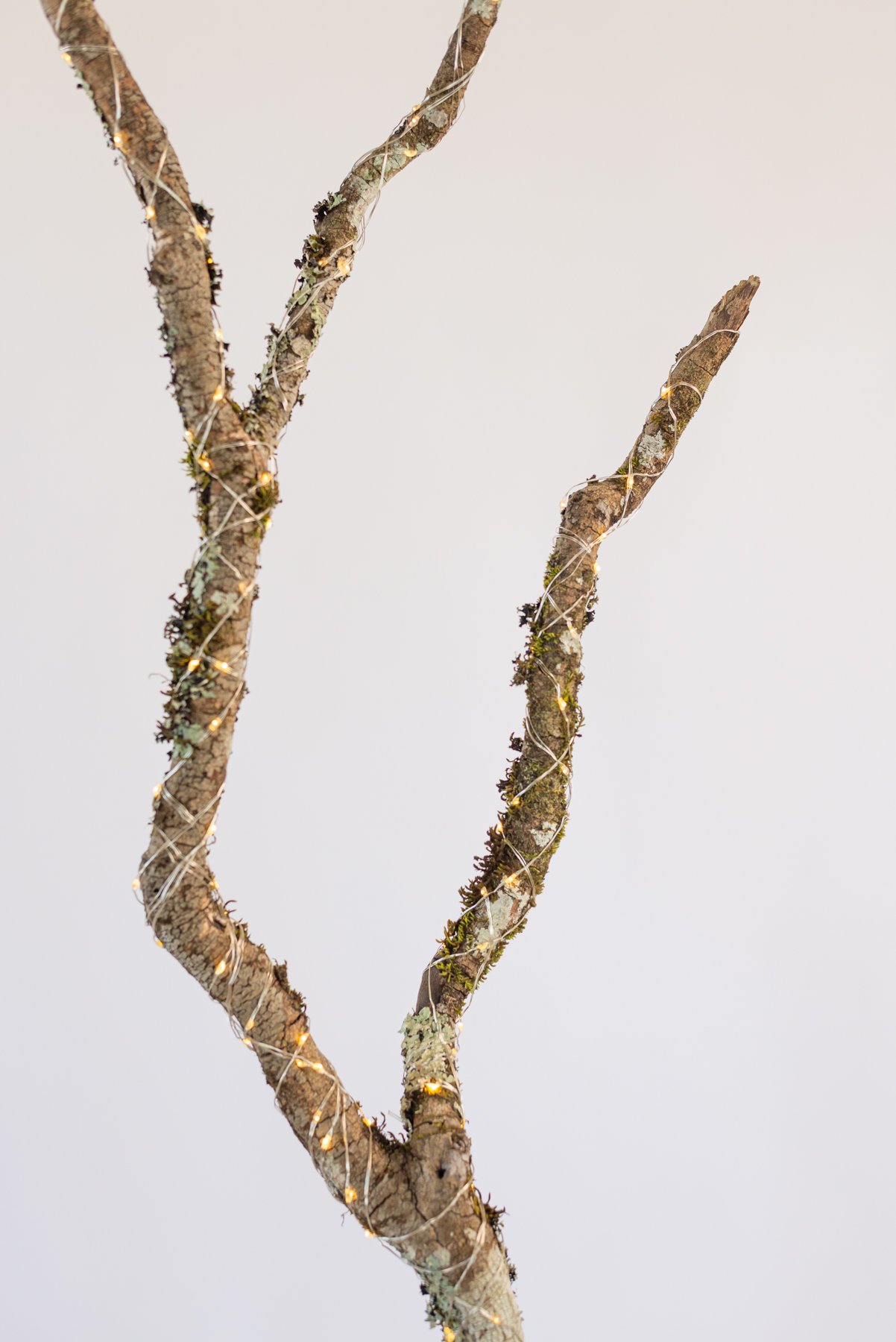 Lambe "Branco punktoj N2"