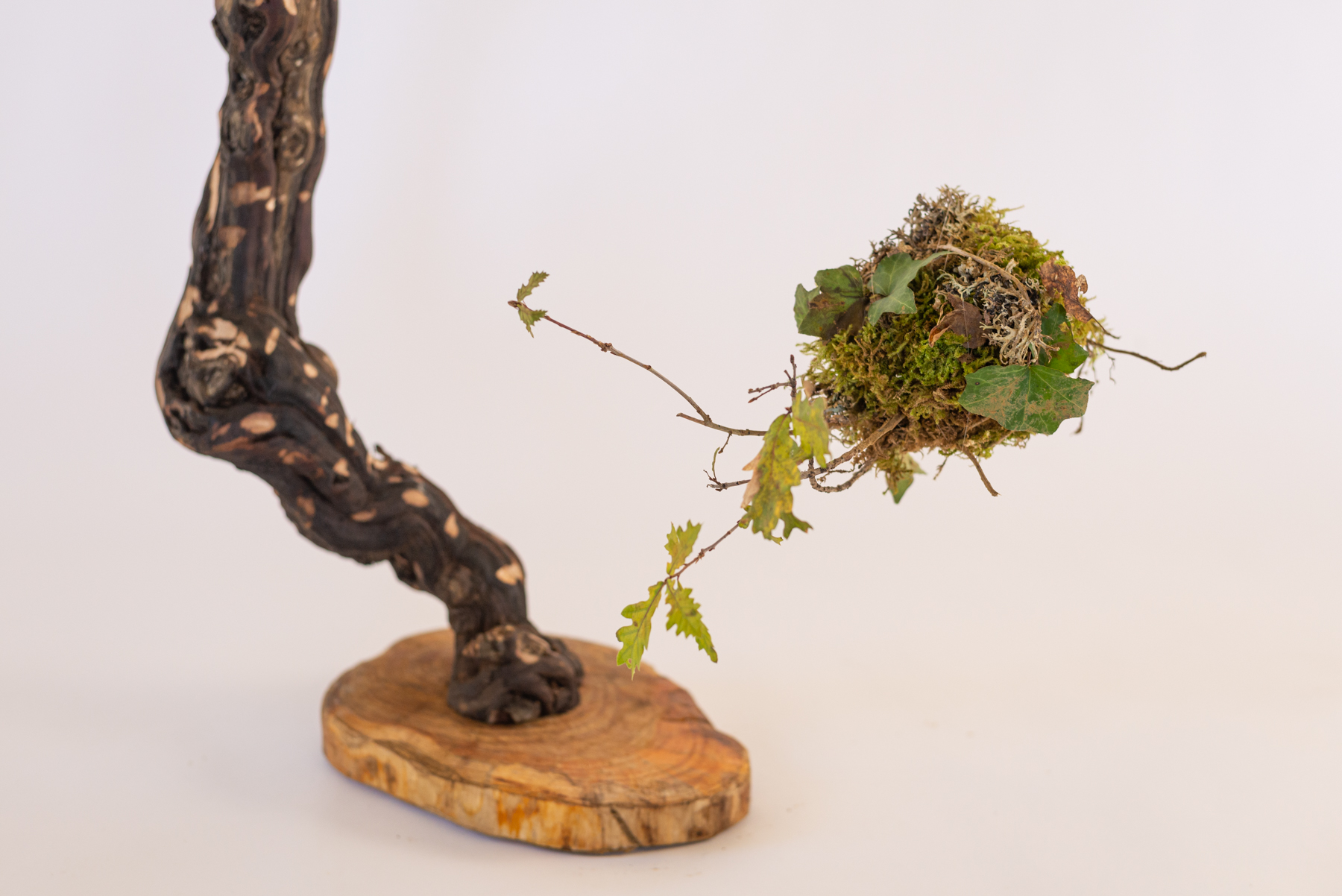 Sculpture "Girafino"