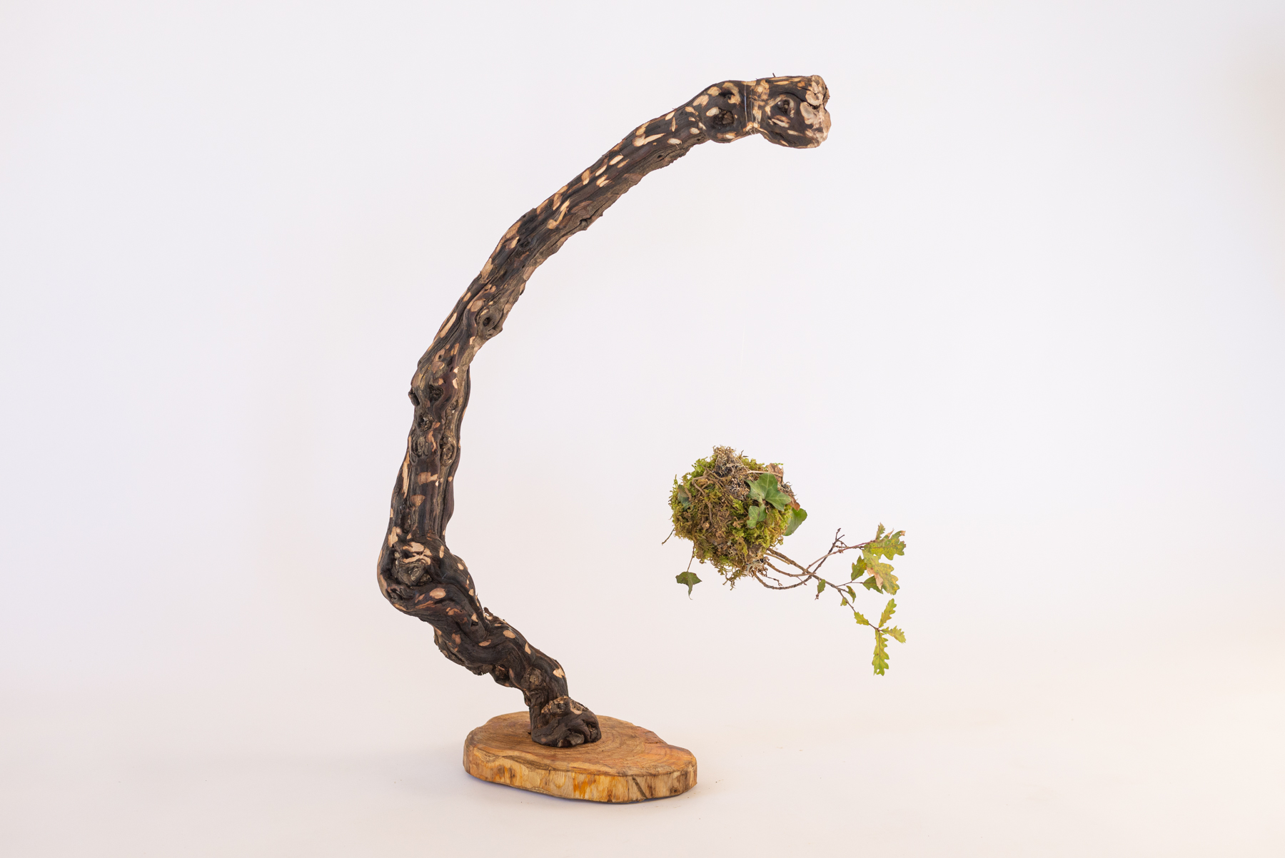 Sculpture "Girafino"