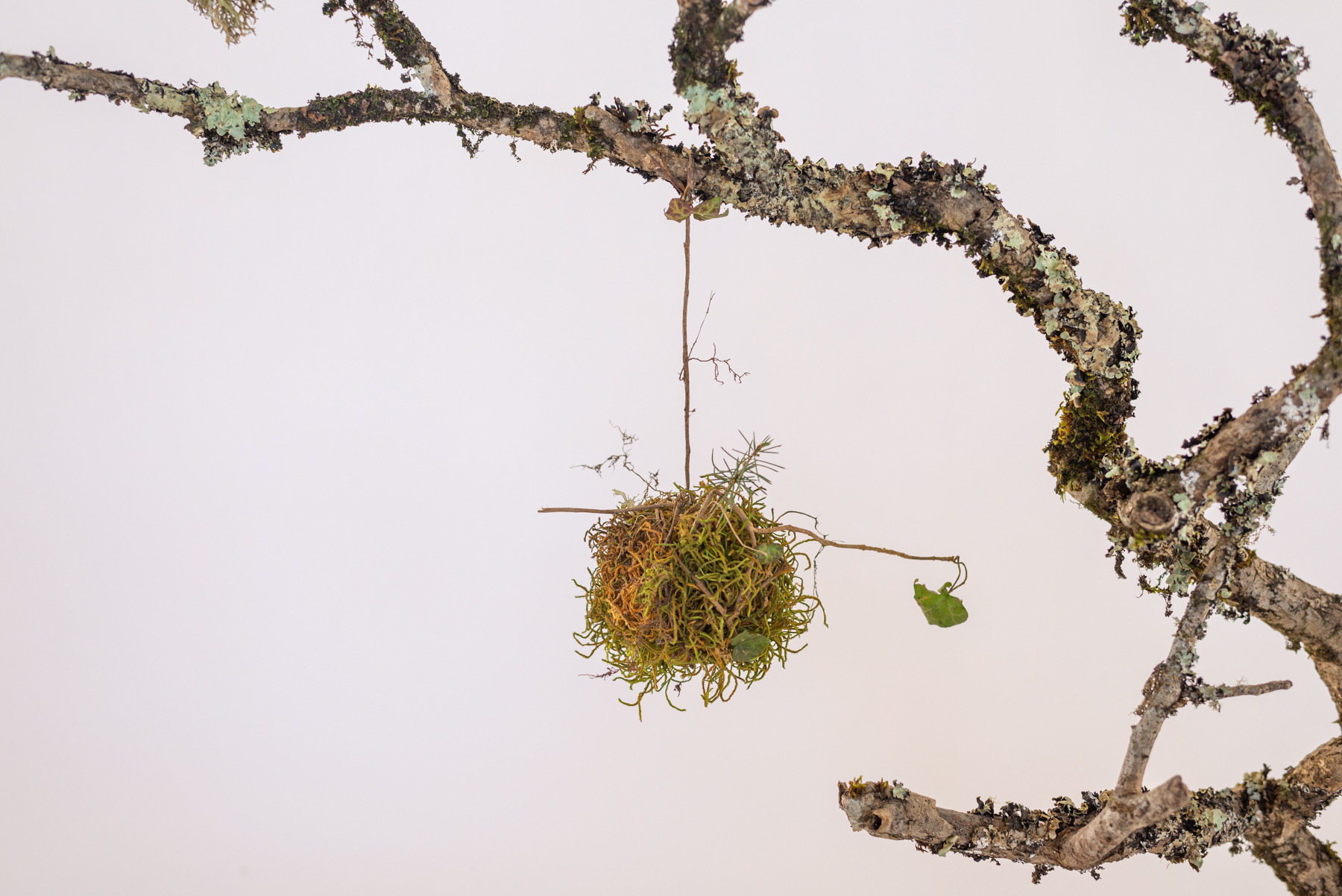 Sculpture "Bola Arbo"