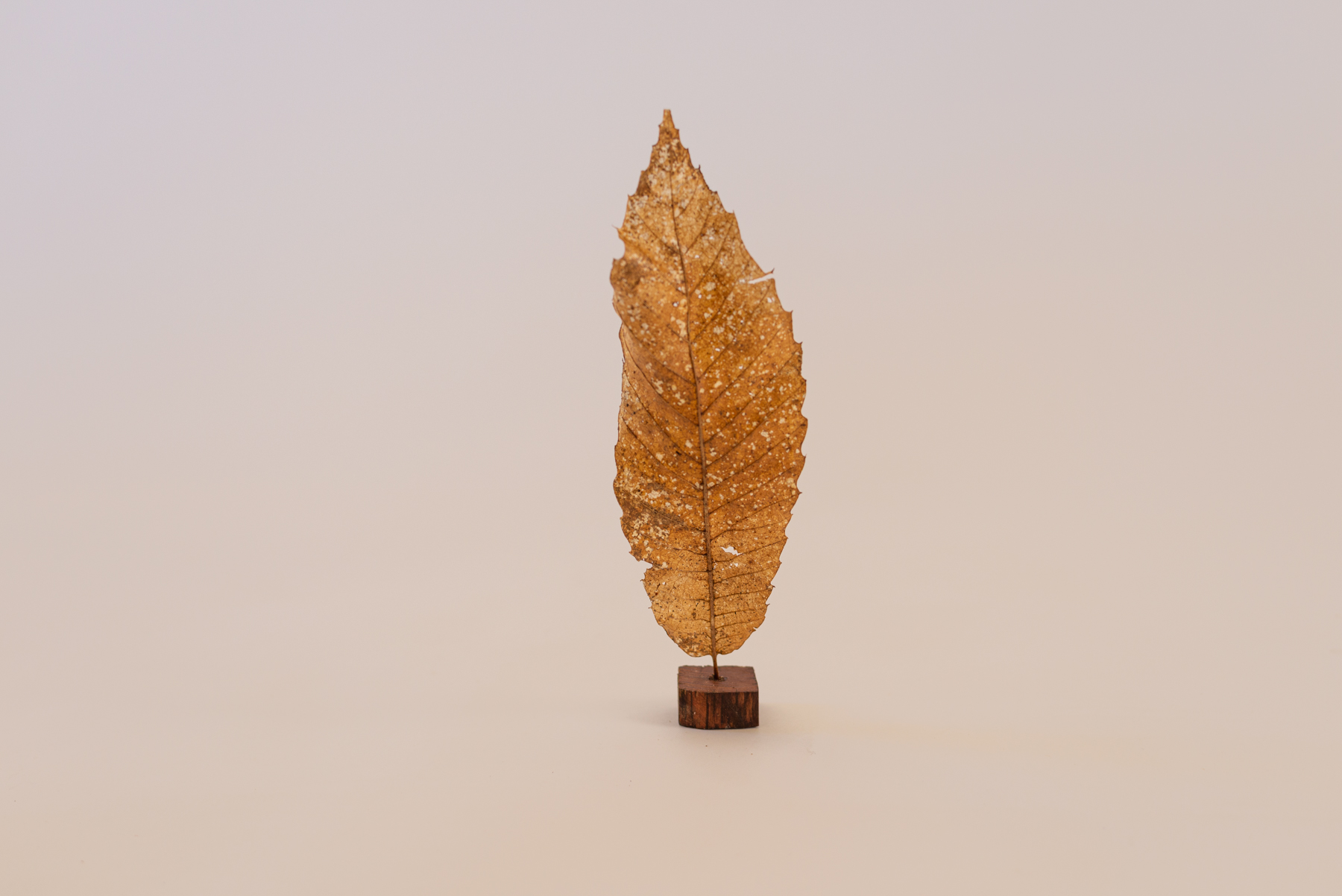 Sculpture "Folio N2"