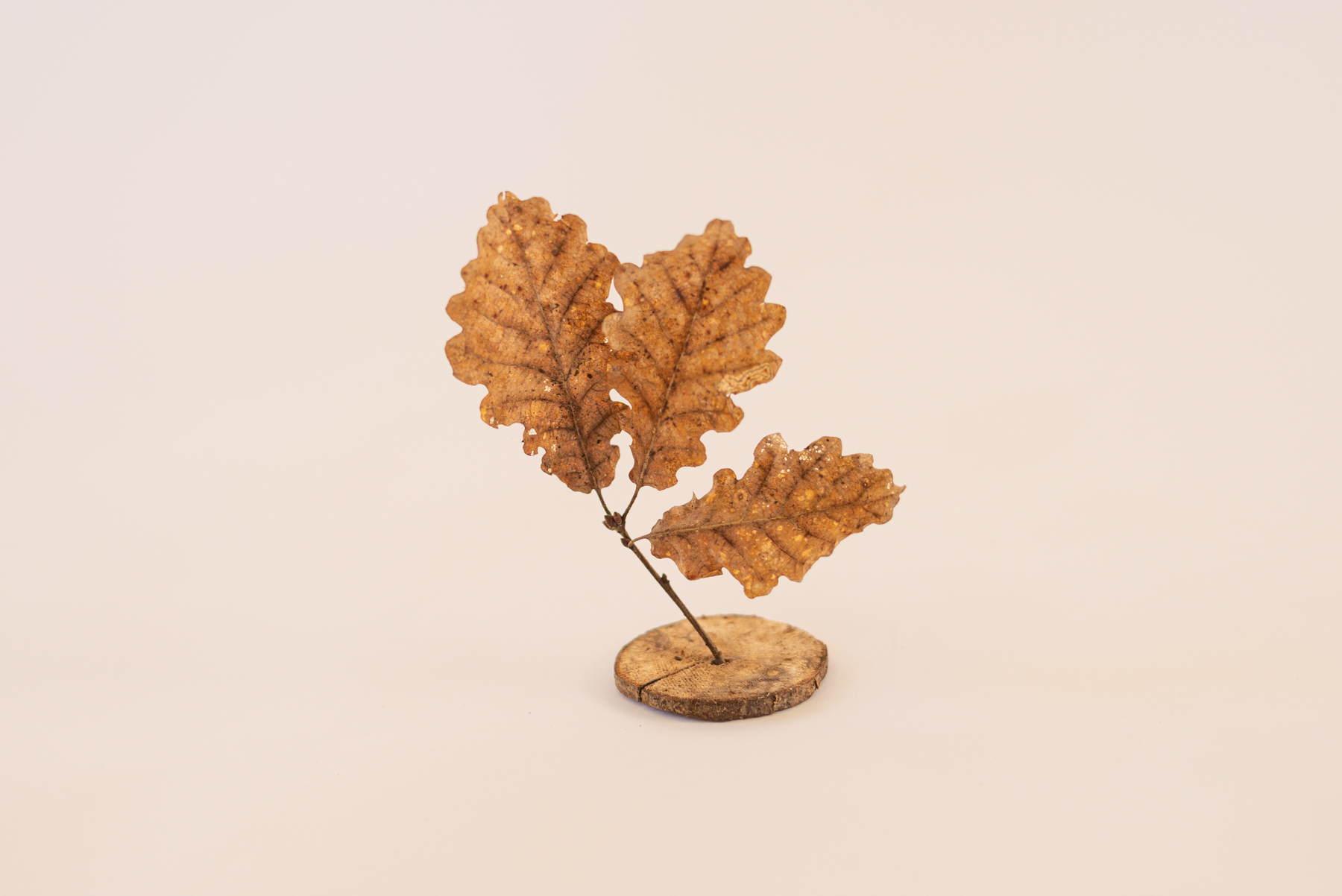 Sculpture "Folio N1"