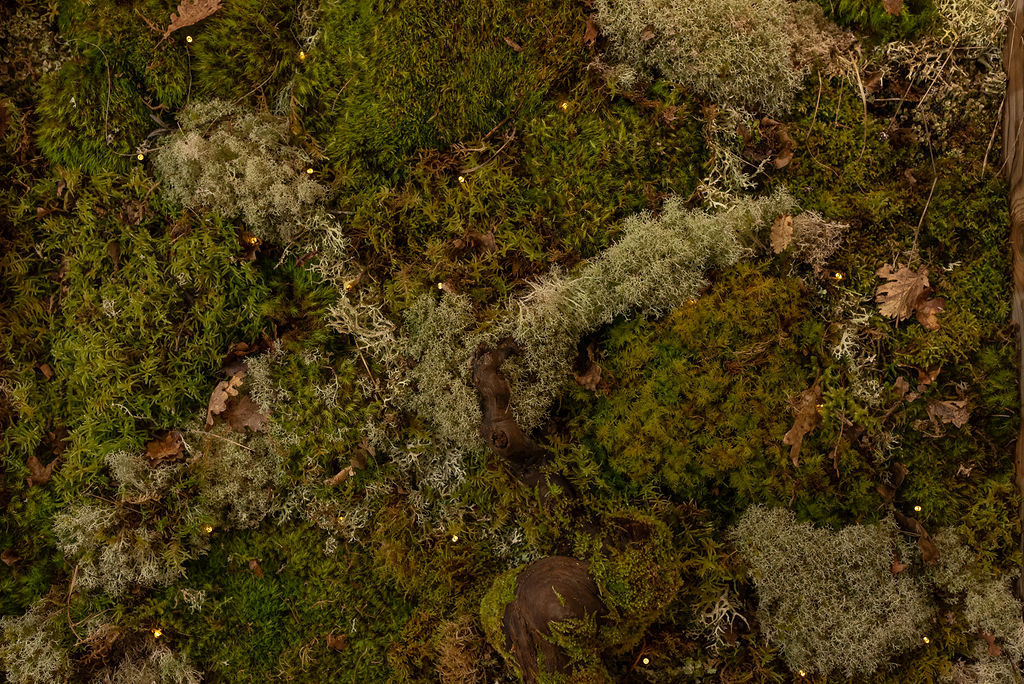 Tableau végétal lumineux "Paleto"