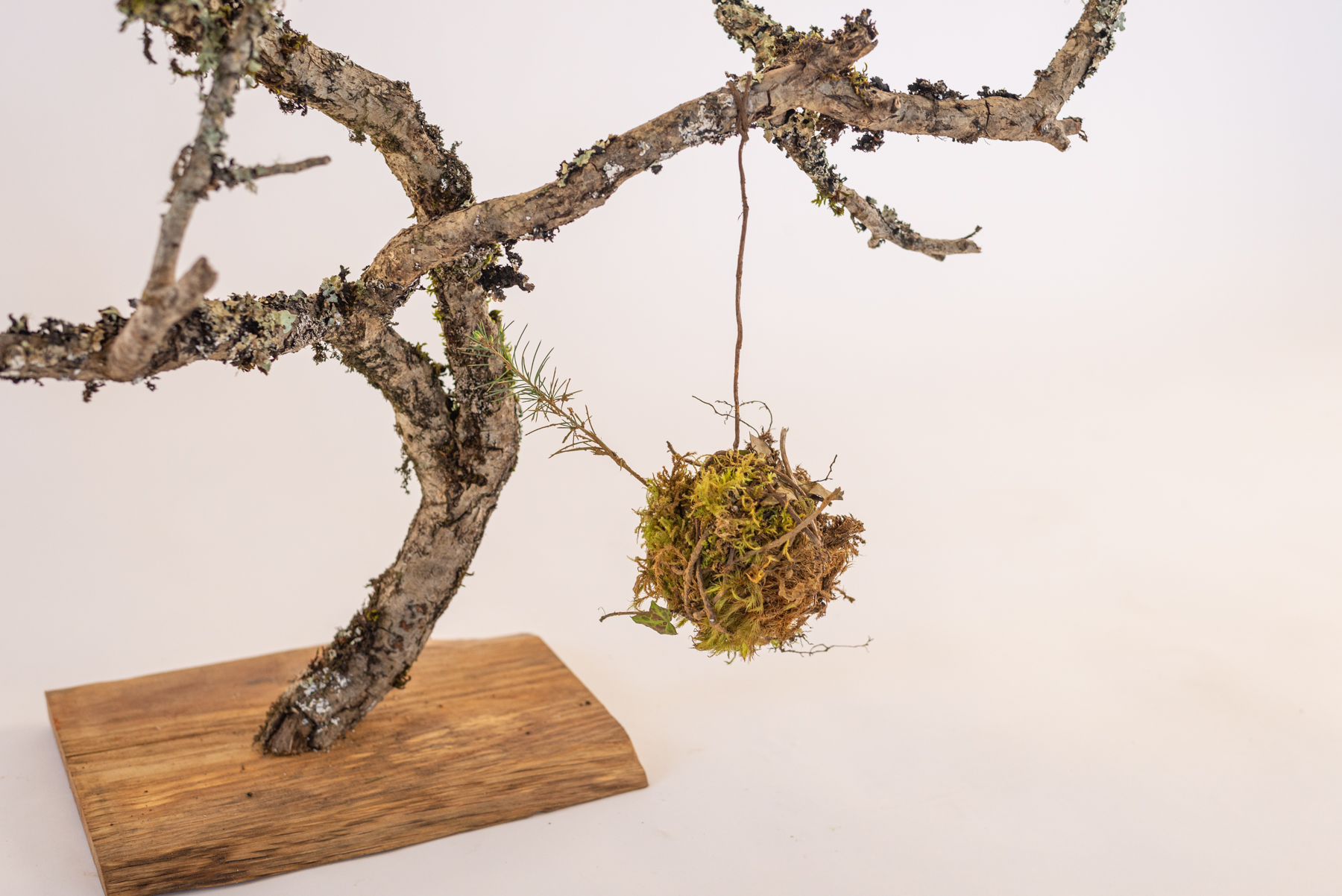 Sculpture "Bola Arbo"