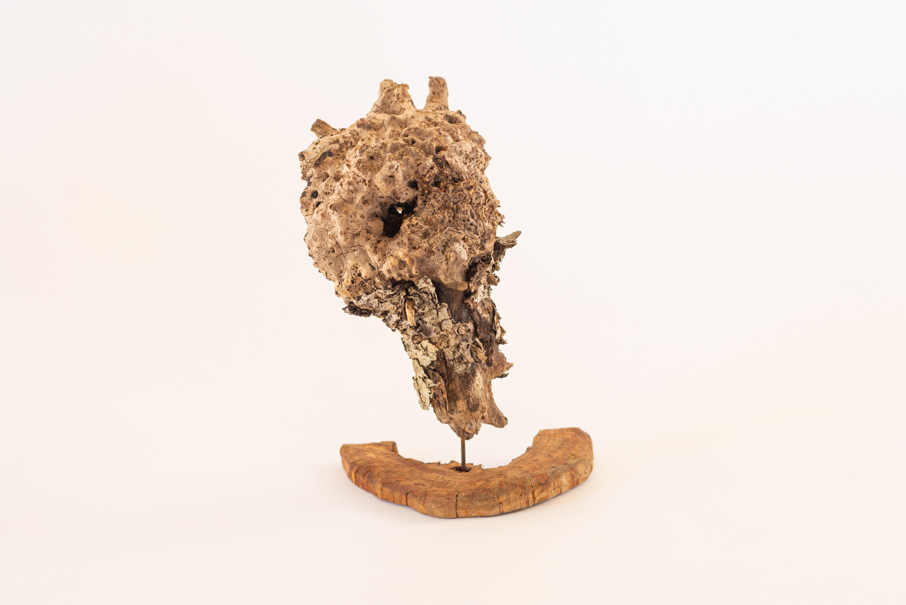 Sculpture "Cerbbranca N2"