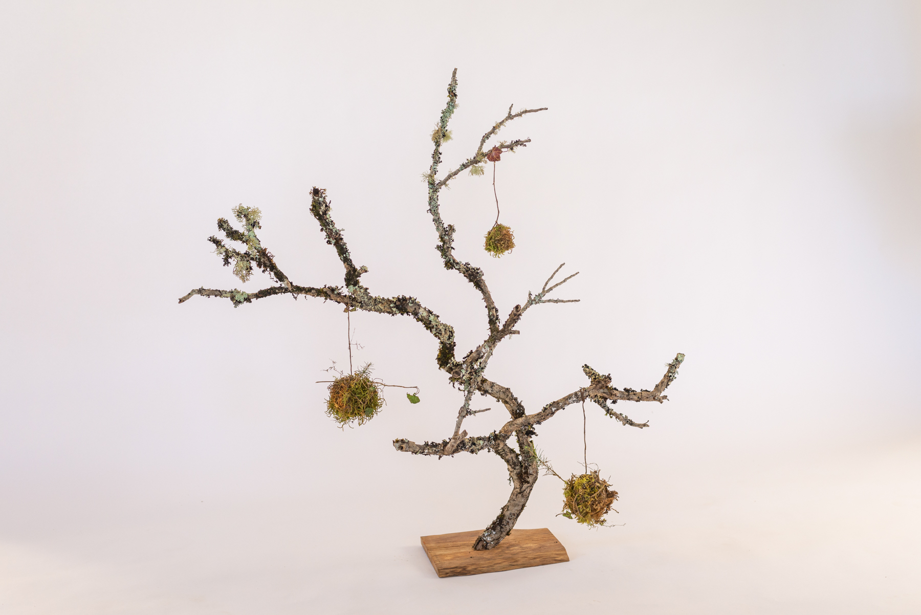 Sculpture "Bola Arbo"